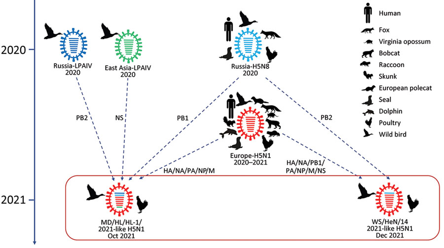 Pandemic flu emerged destroy cdc